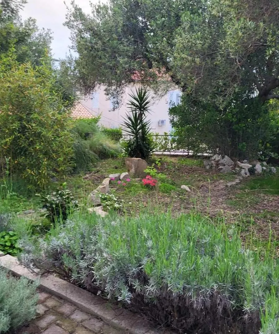 Apartman Padova Banjol Croatia